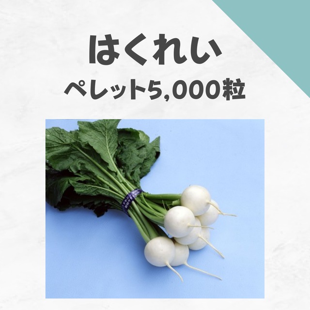 はくれい　カブ種子・ペレット5,000粒