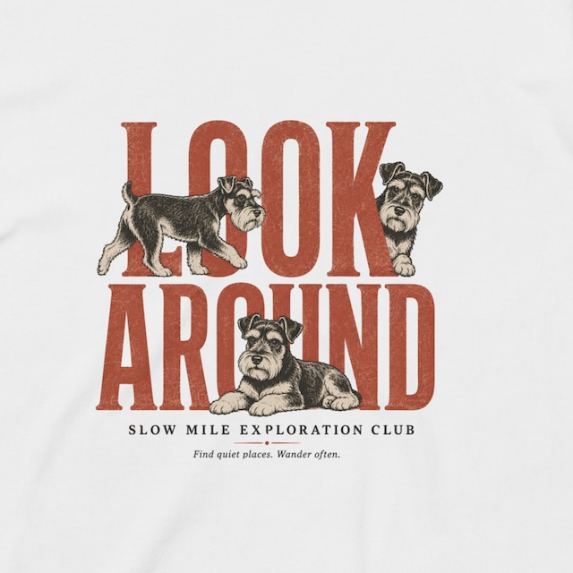 Look Around Tee S0022