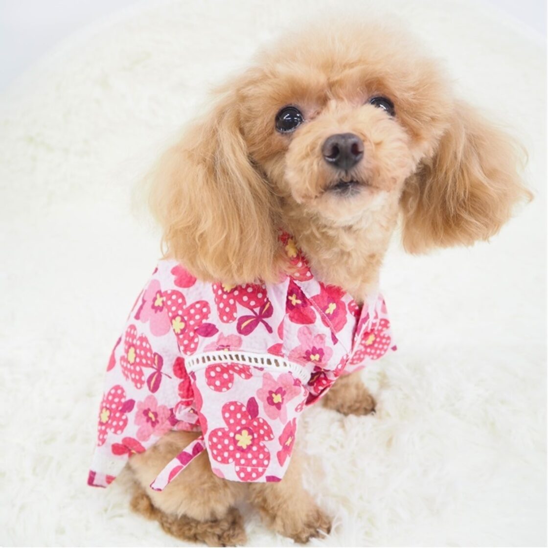 ハンドメイド犬服ドッグウェア （タンクトップ 犬服 ハンドメイド  