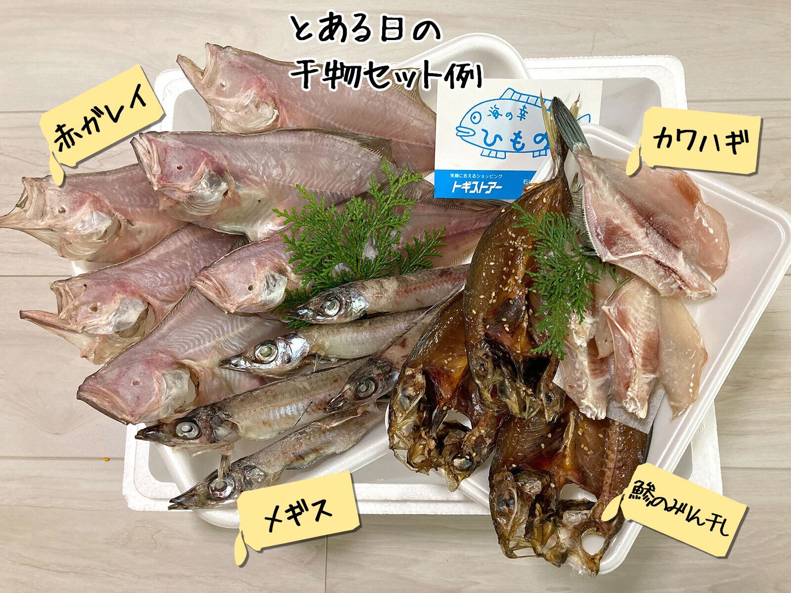 能登の一夜干しの詰め合わせ 4 000円 笑顔に会えるショッピングトギストア