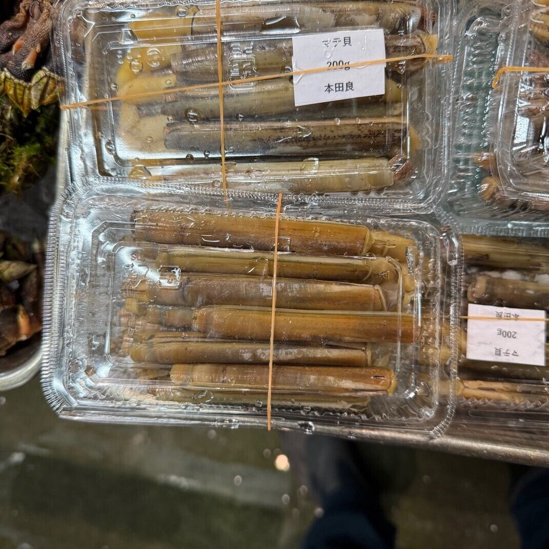 マテ貝 熊本県 【天草マテ貝200g】豊洲直送 冷蔵