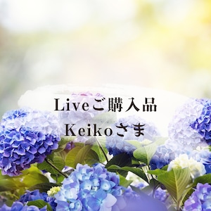 Keikoさま専用♡Liveご購入品1点