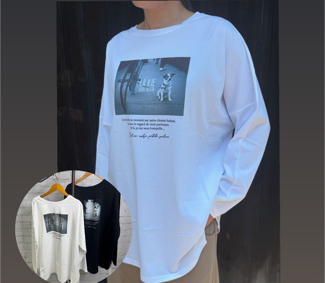 SALE！Dignite collier ディニテコリエ　犬プリント2WAYT 80256000