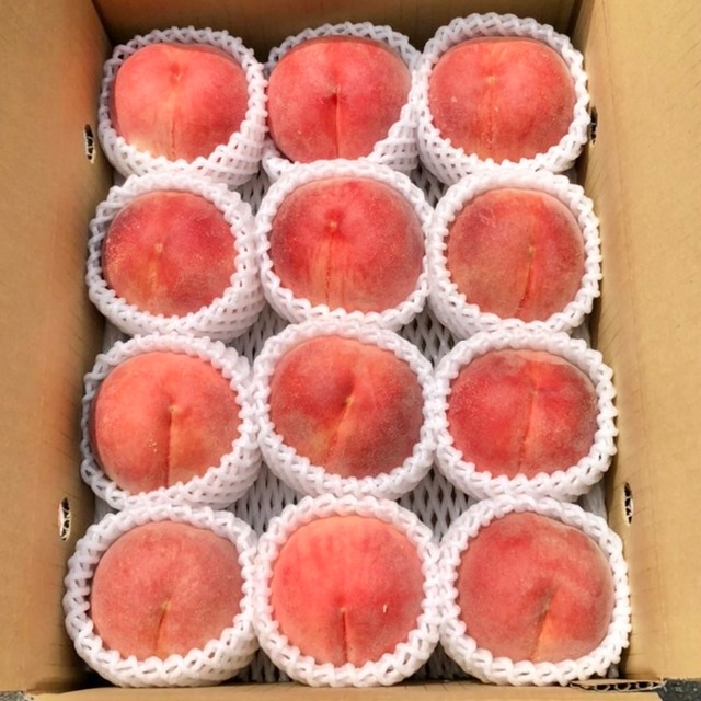 剣崎桃　3kg