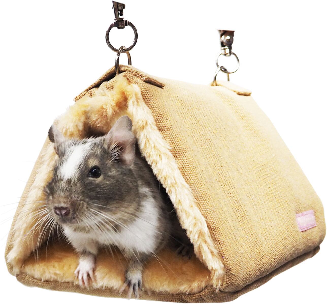 【小動物用品】デグーのキャンバストンネル　ベージュ/グリーン