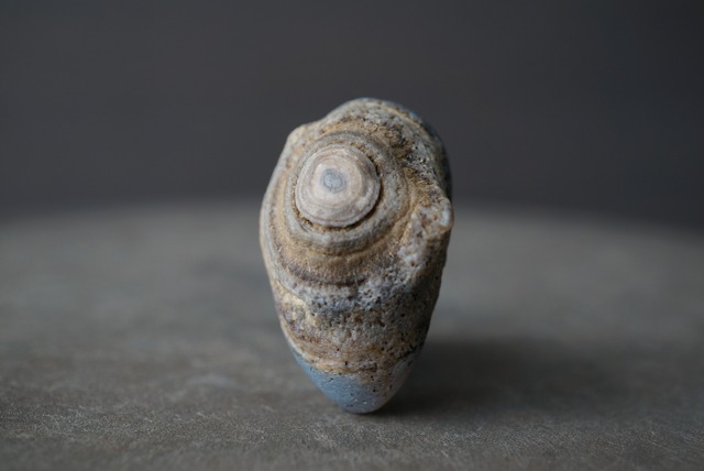 ゴビアゲート Gobi Agate 1684