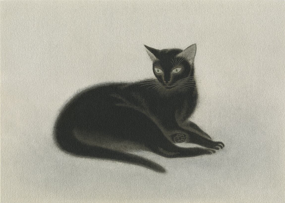 Black Cat Gold / Toshihiko Maemoto