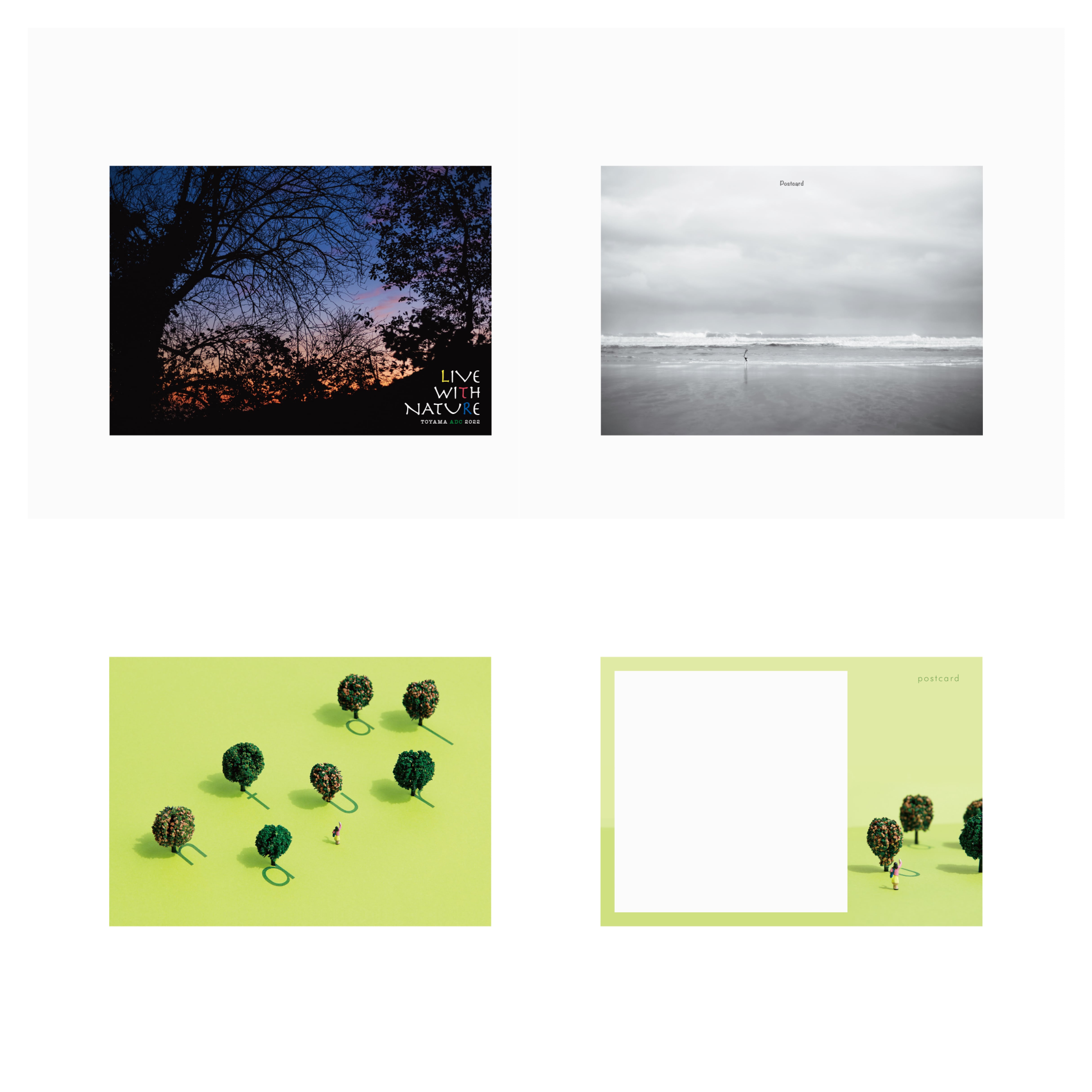 無限大 ホール ポストカード VP-15：バラエティポストカード ホールケーキ〔OZ〕