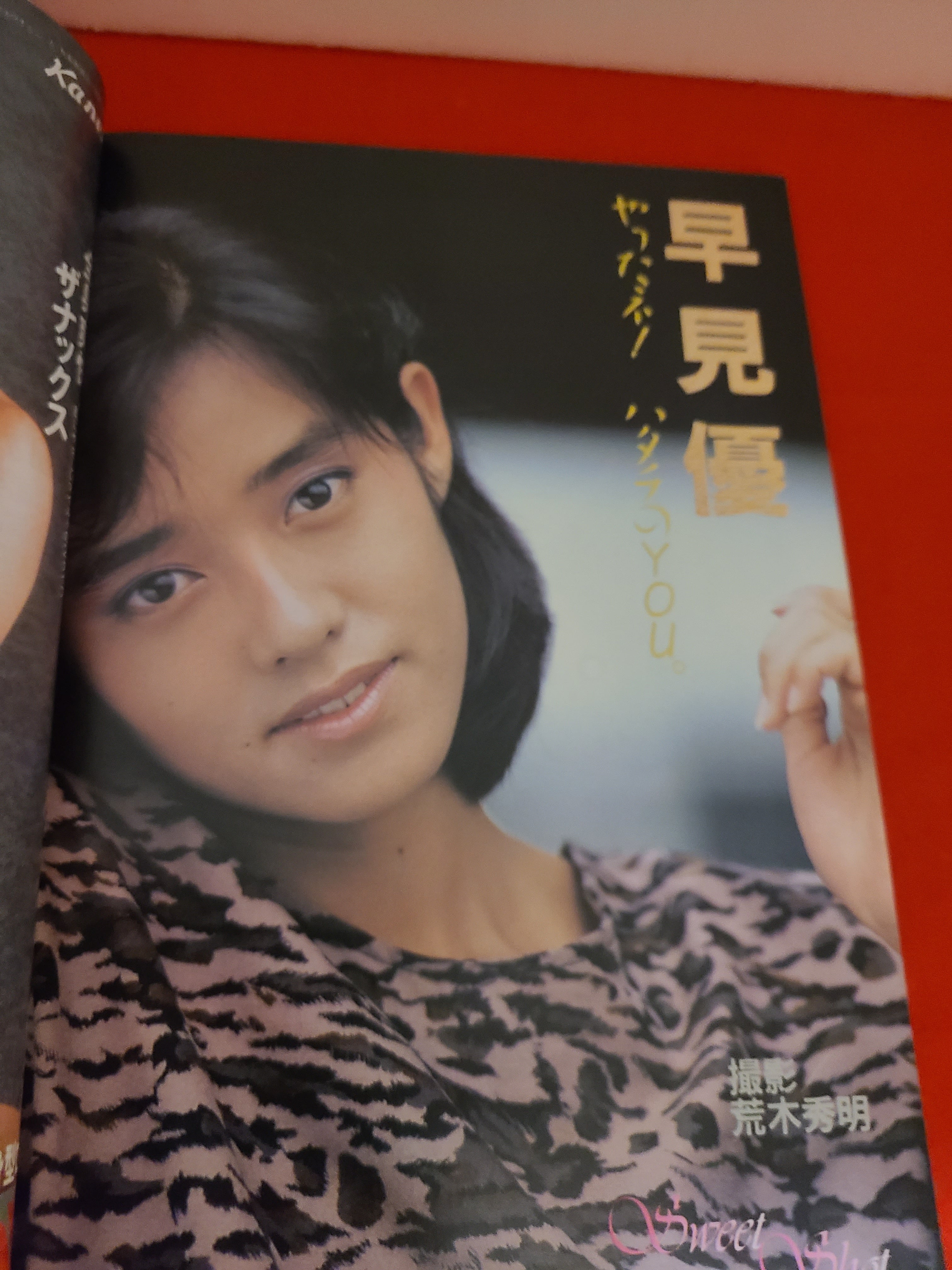 dc527f23f01a33a120556997929863