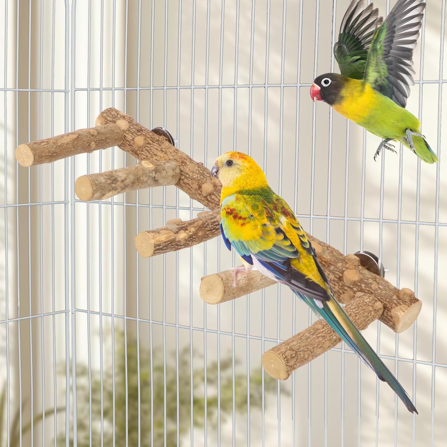 セキセイインコ用巣箱（4個セット） 【公式通販】
