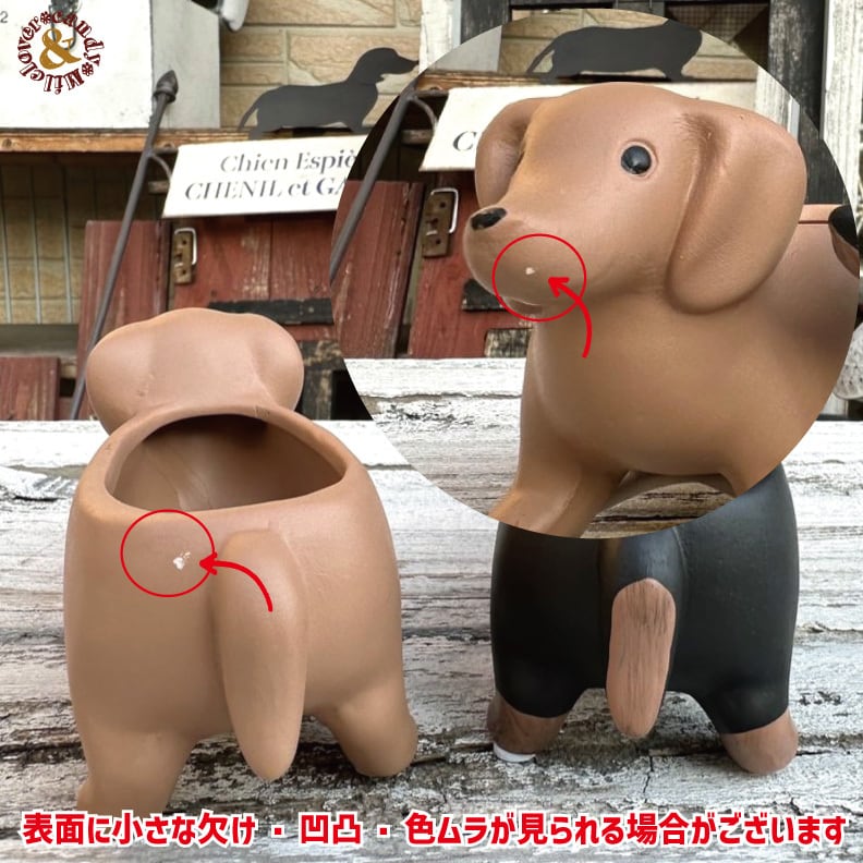 ちいさなダックスのテラコッタポット｜多肉植物 寄せ植え用 犬型