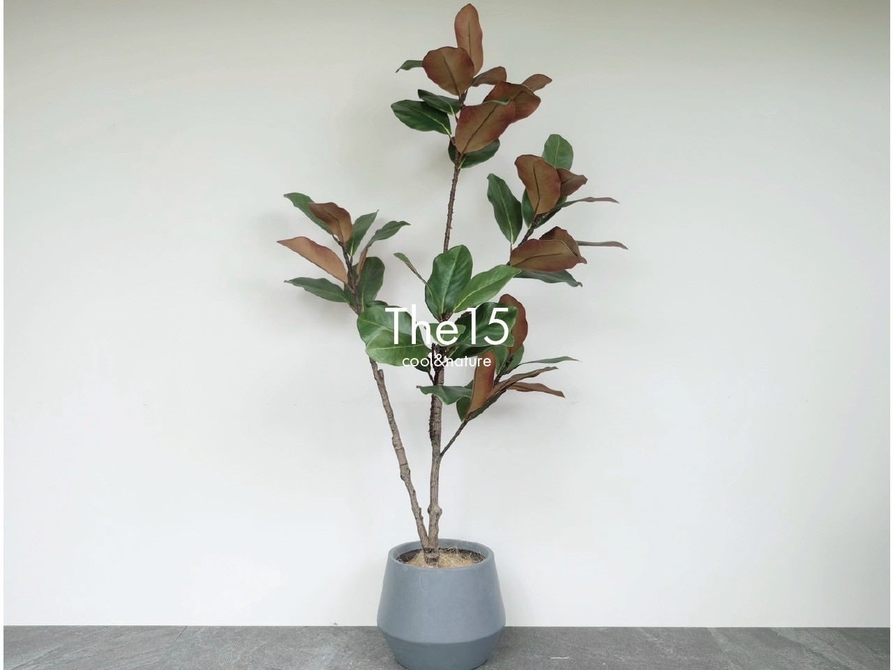 観葉植物（フェイク） | The15