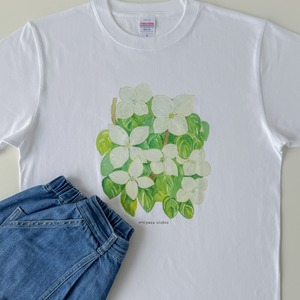 水彩画を着るTシャツ　「ヤマボウシ」