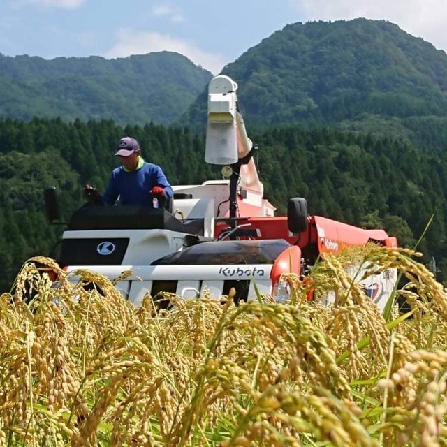 終了【2023年5月27日開催】田んぼオーナーになろう！焼山の絶景とどろんこ田植え  in 清耕園ファーム