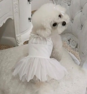 即納販売　swan tutu dress  伸縮性あり　   韓国犬服　cerize
