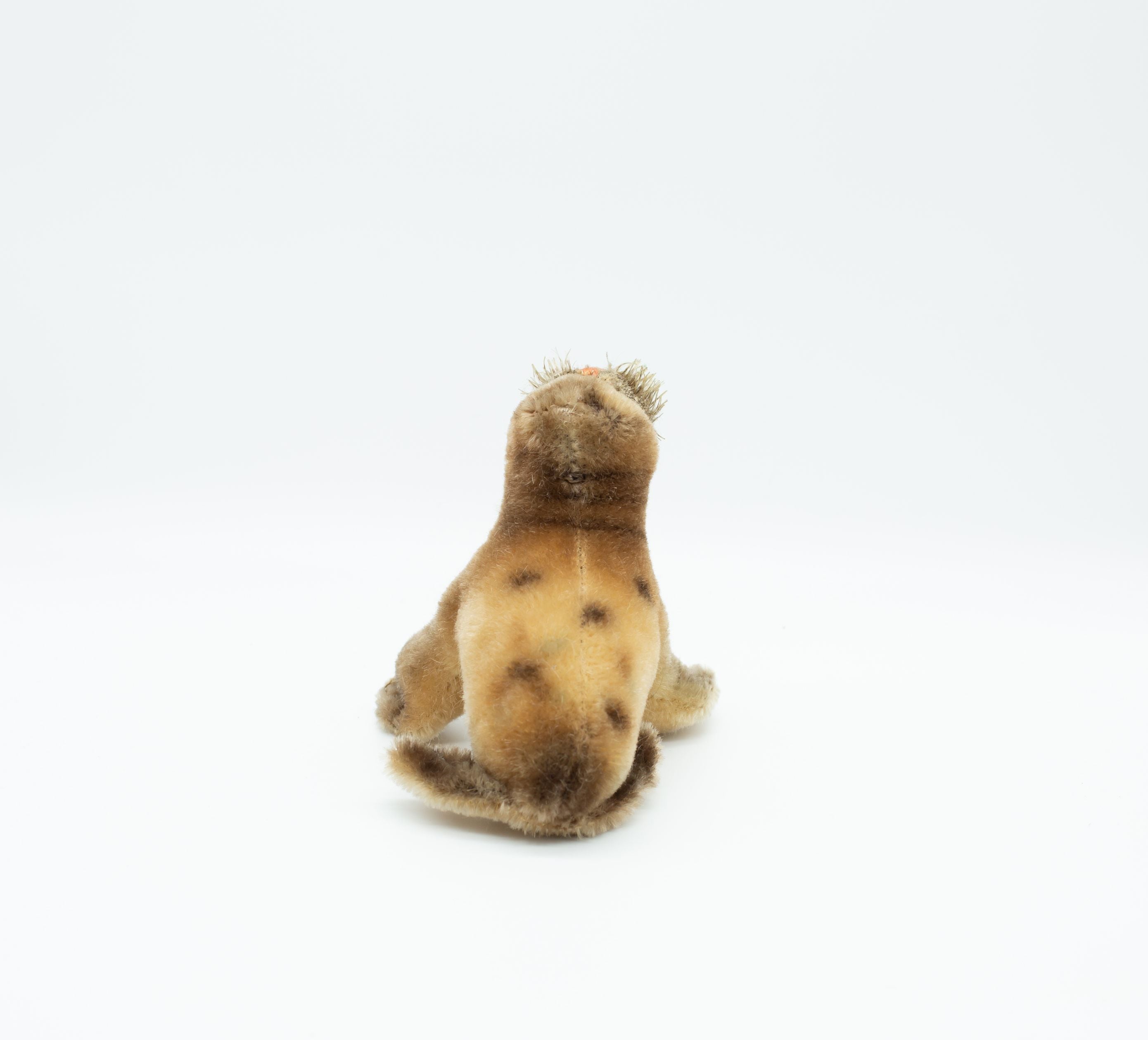 ほぼ未使用　Steiff Paddy ぬいぐるみ Amazon.co.jp: シュタイフ‐Steiff 014253 テディベア パディ Teddybear