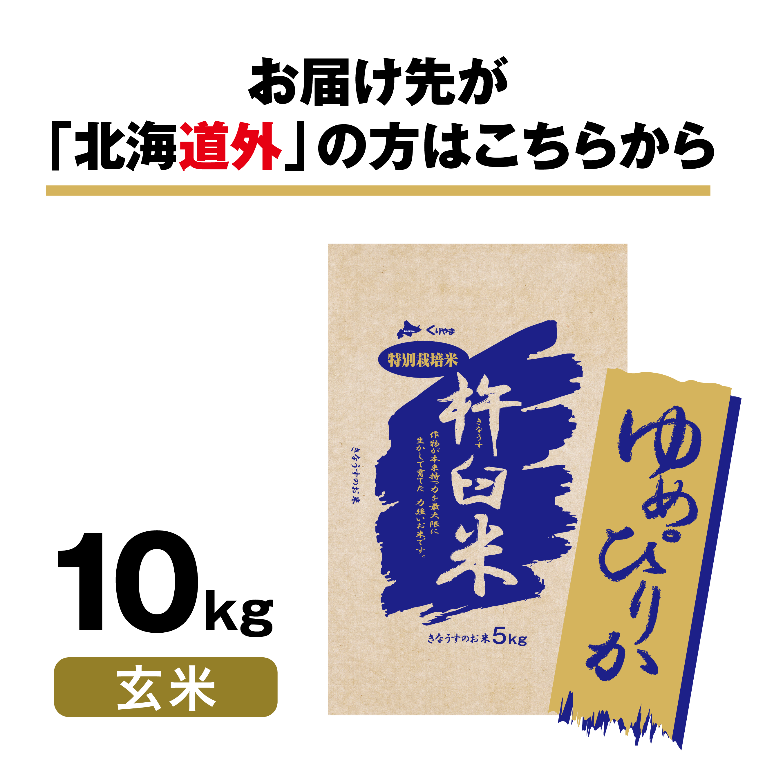 ゆめぴりか　特別栽培米　北海道きなうすファーム　10kg（玄米）　北海道栗山町きなうすファーム通販サイト