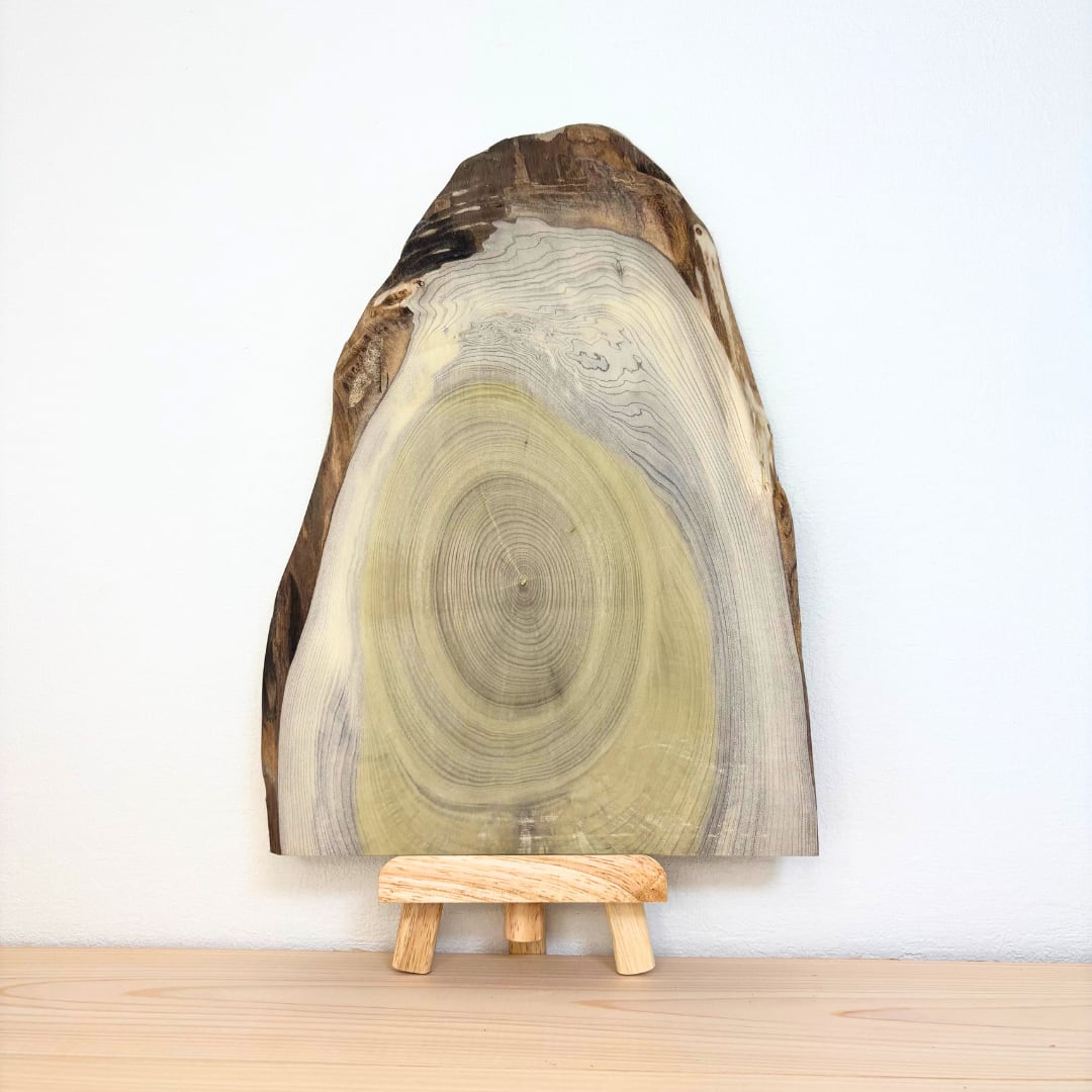 No.1056　ホオノキ