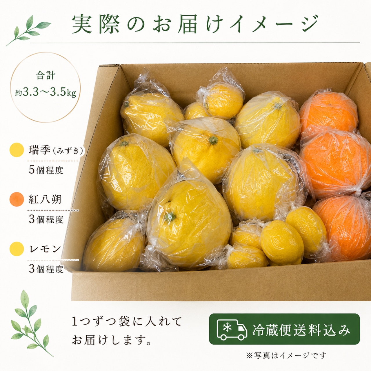 【クール便・送料込み】しまなみ冷蔵柑橘セット｜瑞季・紅八朔・レモン