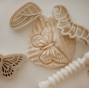 Eco Dough Cutter (butterfly life-cycle) エコ粘土スタンプ（蝶）