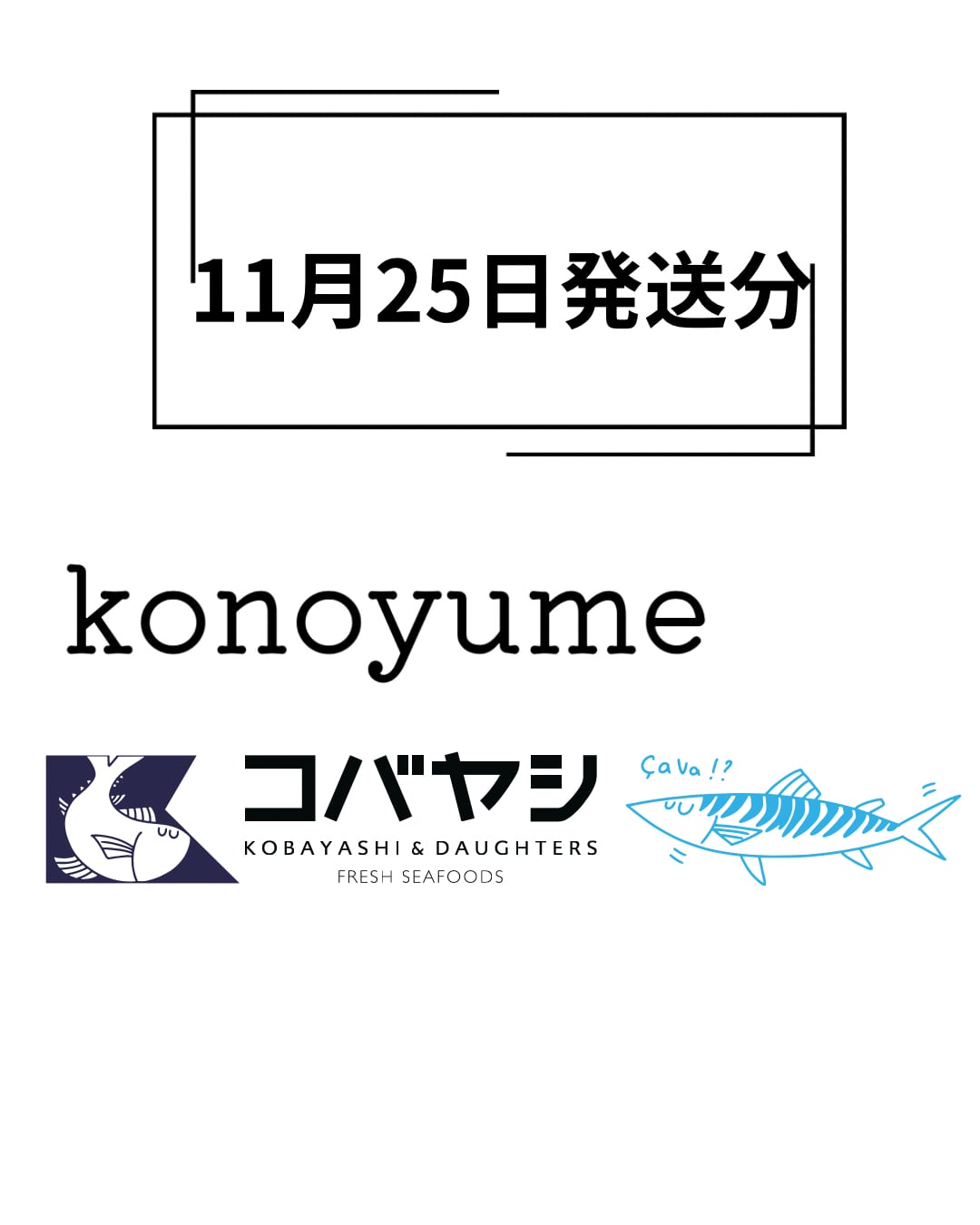 【冷凍】※11/25〜発送分☆★コノユメコラボ★☆受験家庭のためのお魚セット☆★