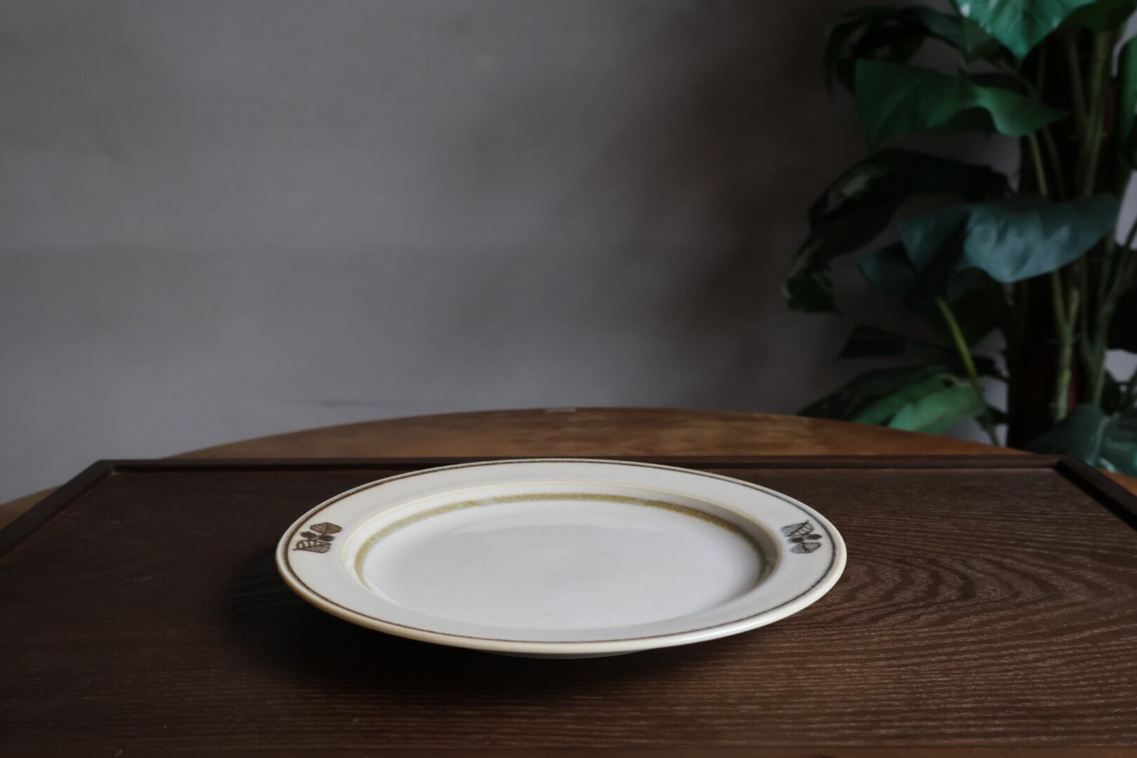 美濃焼 aito製作所 Anyware フイユ プレートM マスタード