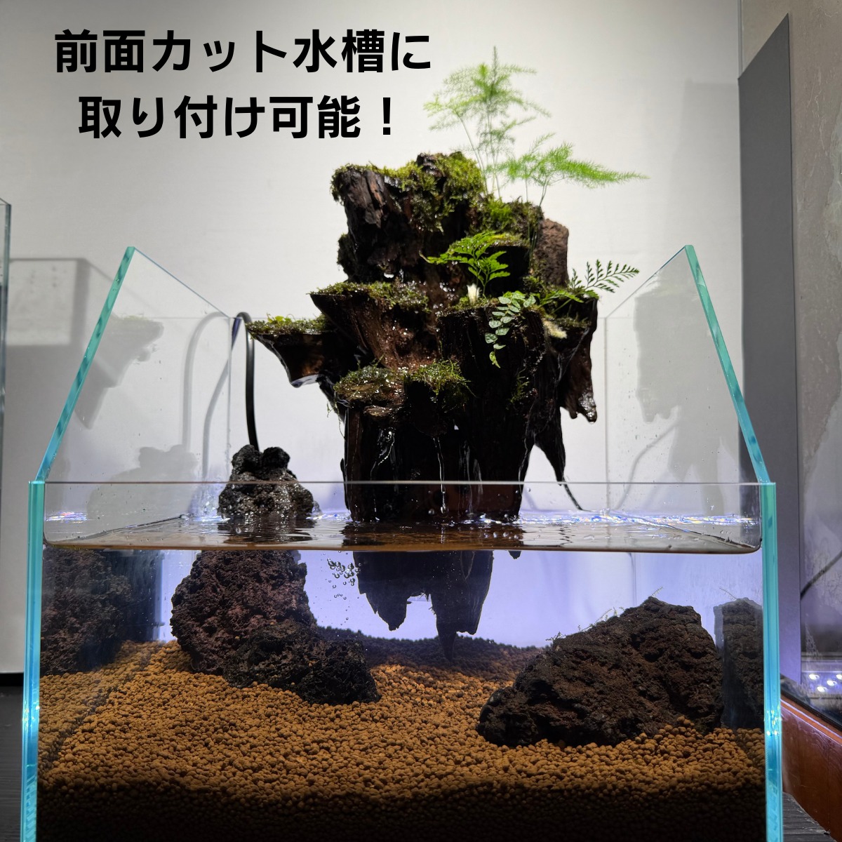 アクアテラリウム 浮根～fune～｜水槽に引っかけるだけで楽しめる