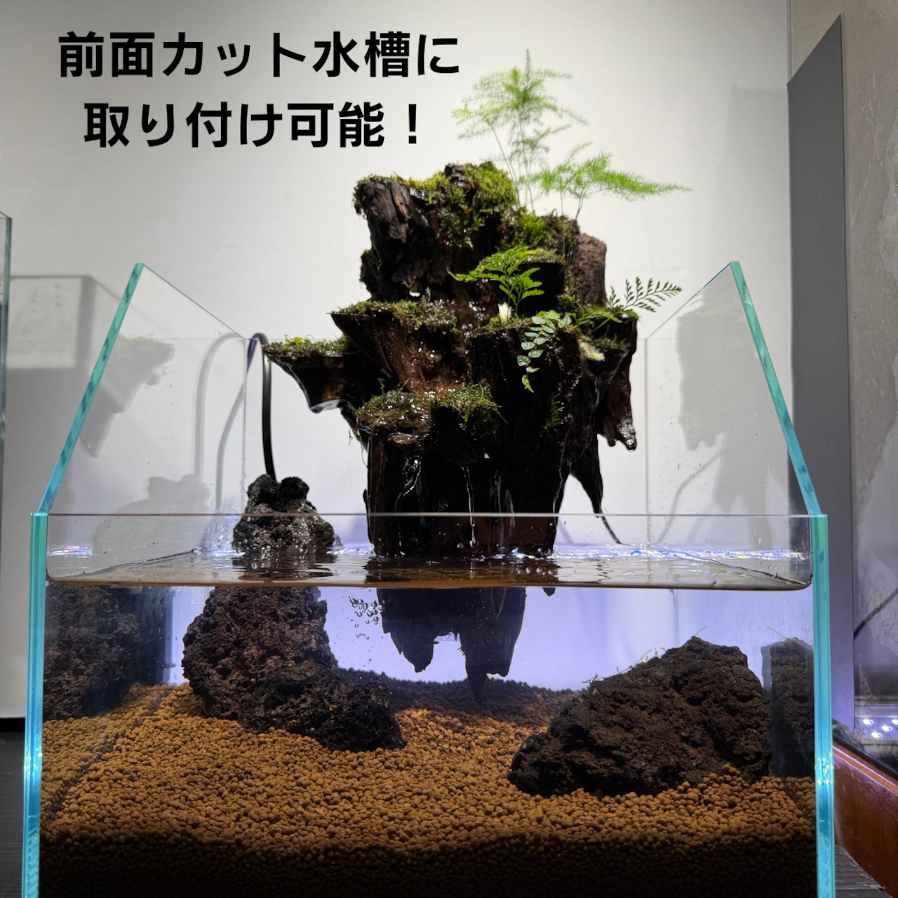 アクアテラリウム 浮根～fune～｜水槽に引っかけるだけで楽しめる