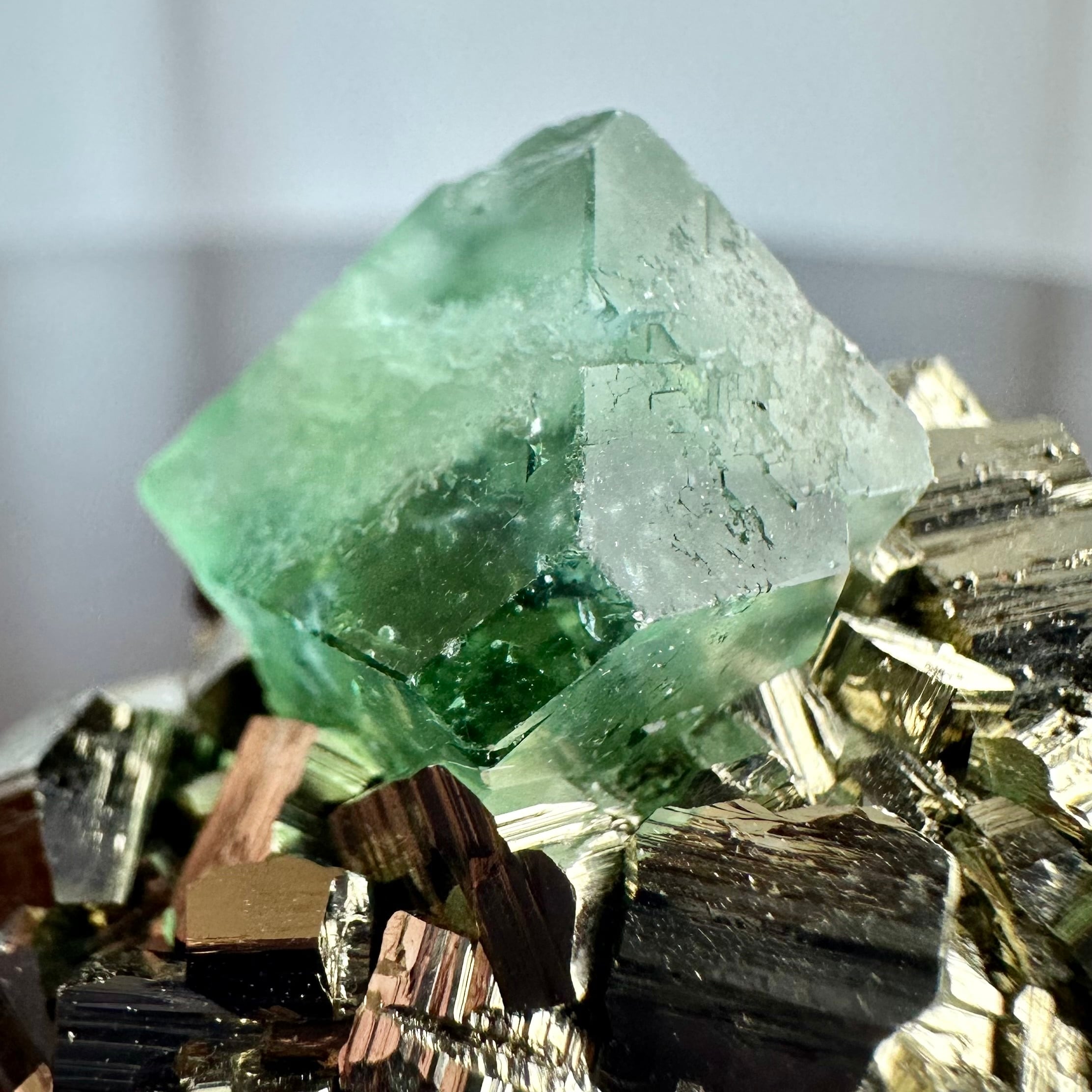 【鉱物標本】ペルー産フローライト×パイライト フローライト / パイライト【Fluorite with Pyrite】ペルー産