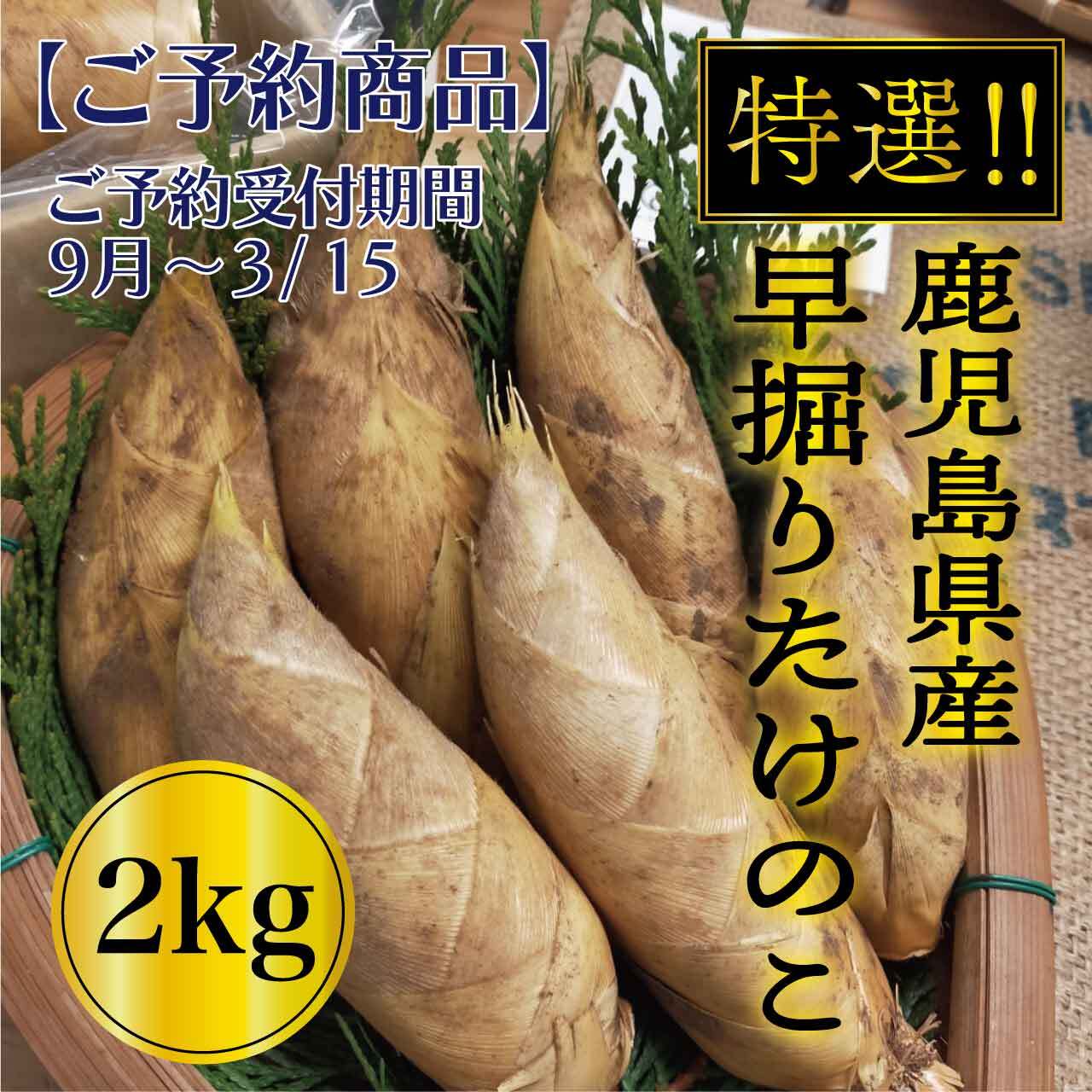 鹿児島県産 早堀たけのこ 4kg 専用