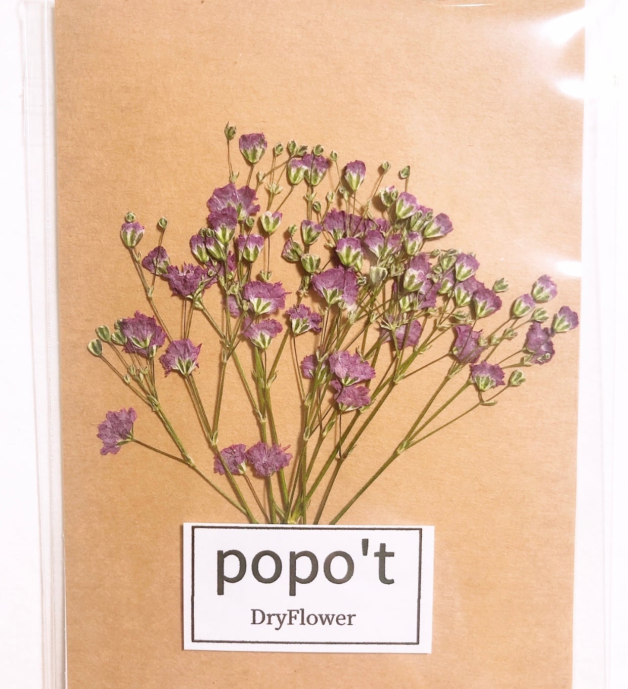 自然色ピンクかすみ草の押し花 Popo T ドライフラワーと雑貨のお店