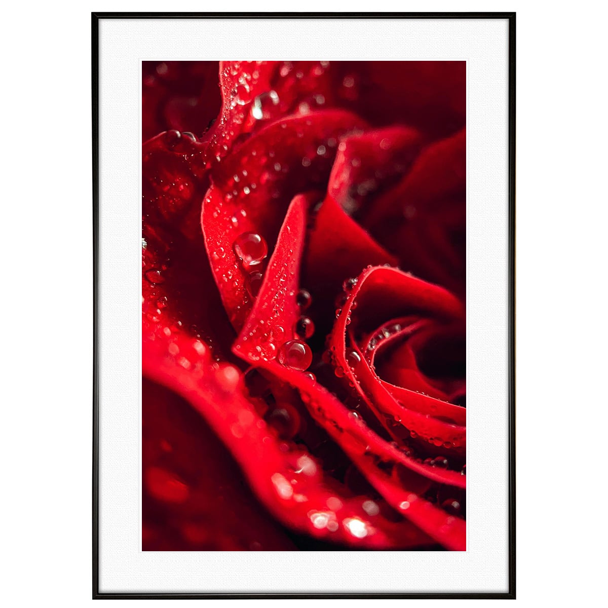 花写真 花瓶に入った赤い薔薇 インテリアアートポスター額装 AS2834