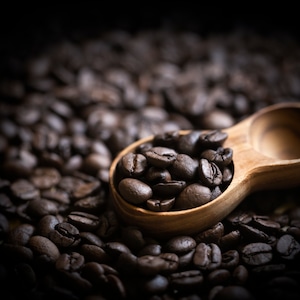 【定期便】コーヒー豆３種セット300g(100g×3個)  6ヶ月プラン ※送料無料