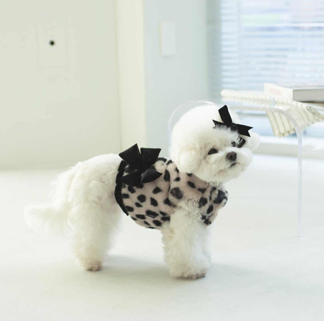 予約【cocochien】Rien Fur Vest (Beige)