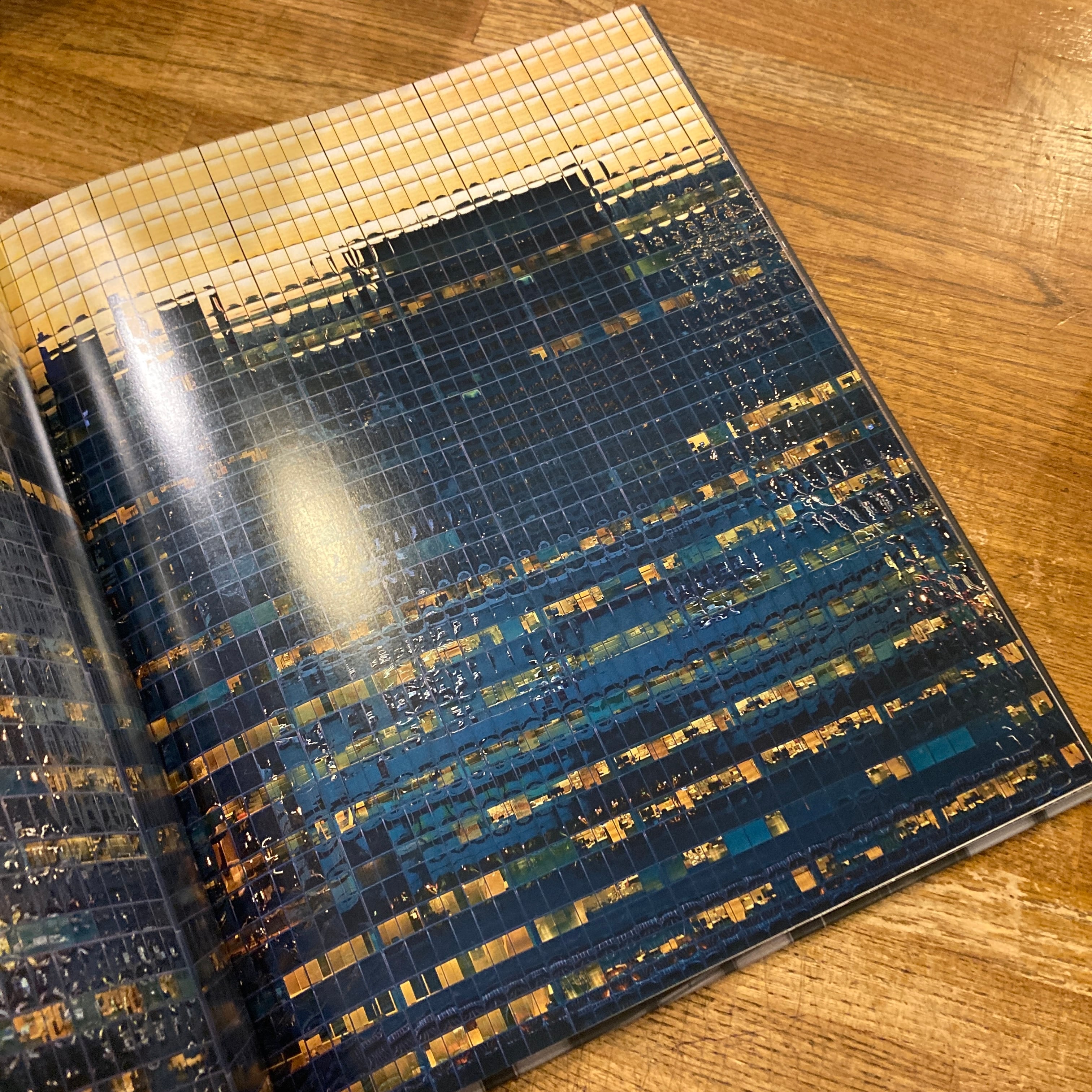 The Transparent City / Michael Wolf | 百年