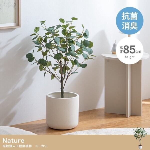 光触媒　人工観葉植物　ウォールグリーン　フェイクグリーン　太パキラ150 g162013]【高さ150cm】Nature 光触媒人工観葉植物 パキラ 観葉植物