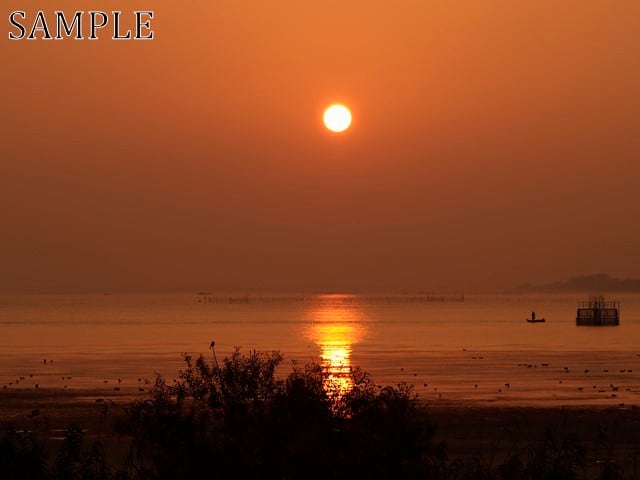 朝陽　小野　JPEG (2)