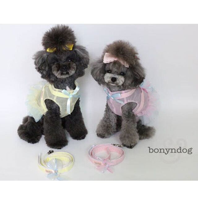 bonyndog【正規輸入】 シースルーハーネス　シャーベット 3-23212-0155