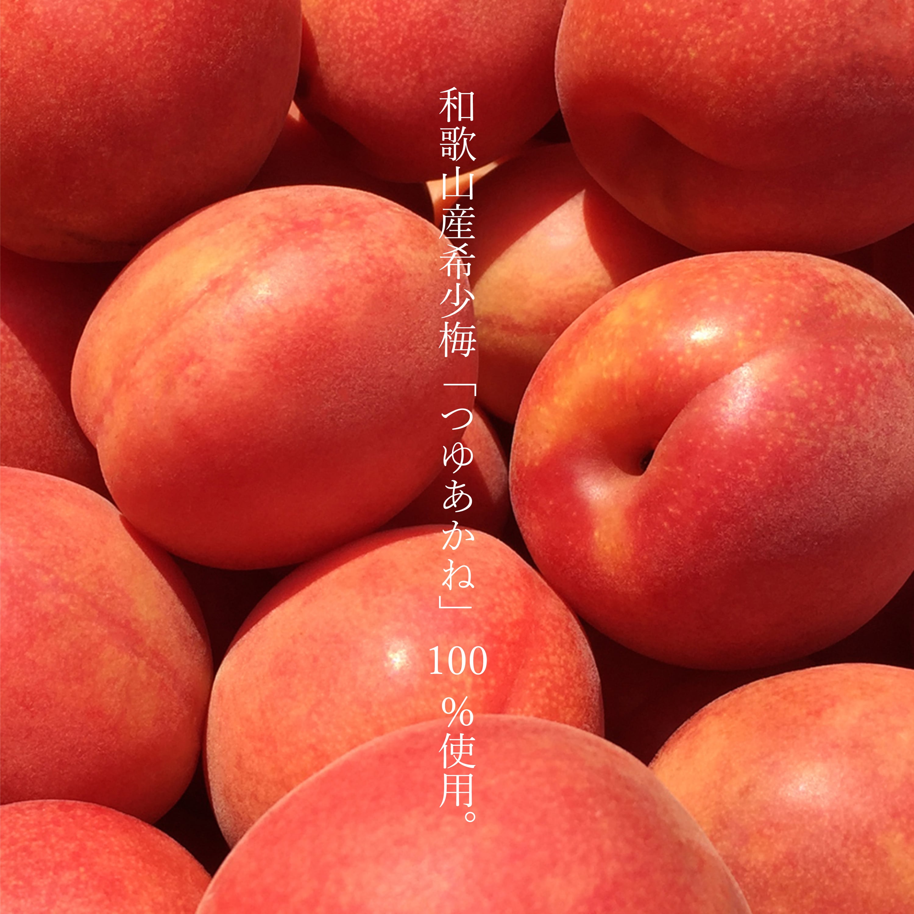 MIYAYOSHI トライアルセット(ミニボトル55ml×3） | MIYAYOSHI ONLINE SHOP