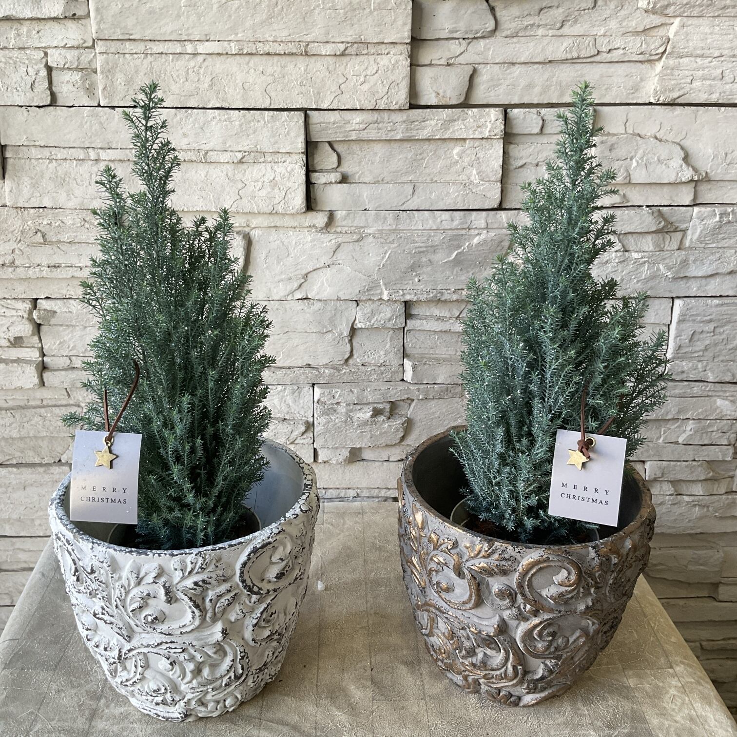 受注販売】【クリスマス】キラキララメ付きコニファー陶器鉢植え