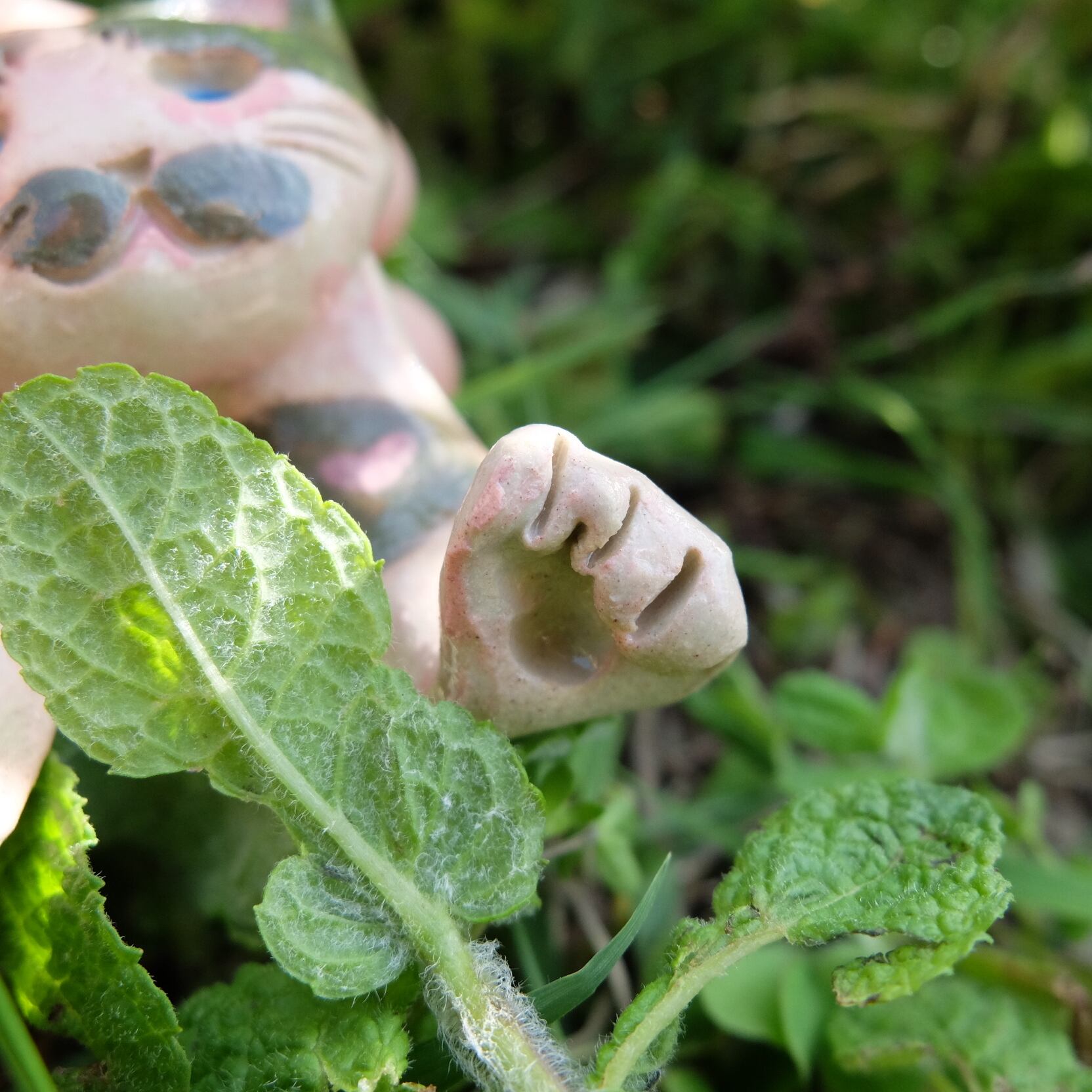 ドリームカラーの猫はしおき:もも×緑