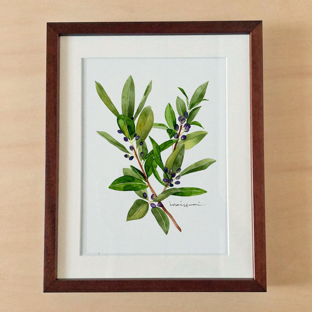 2月28日 月桂樹 | 365日の誕生花