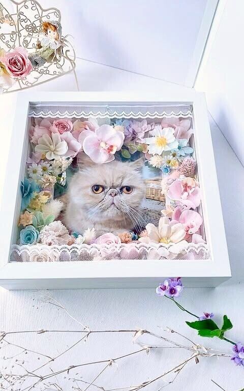 【セミオーダー】《ほっこり花ギフトGF6 》21×21×W5㎝/写真・名入れ/記念日/誕生日/お見舞い/メッセージ