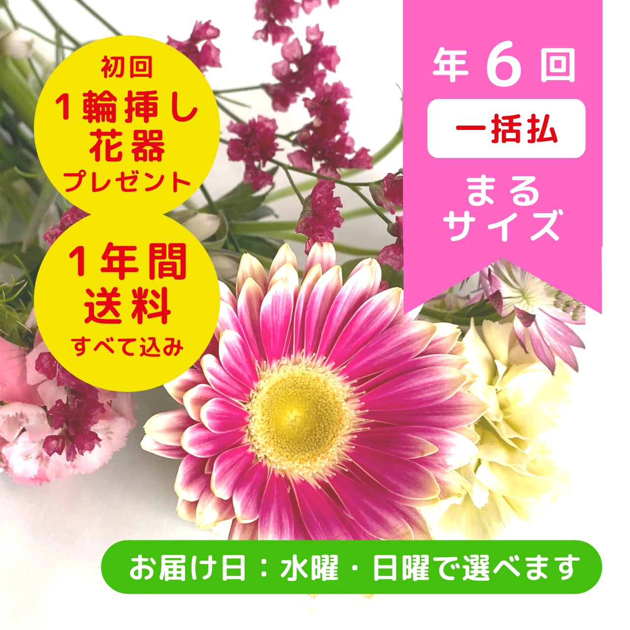 お花の定期便 年６回 一括払い 新登場 まるサイズ お花のお届け便 ハチ