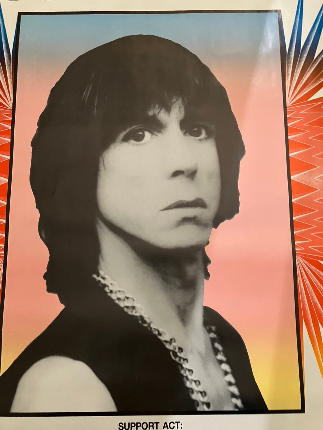 1988/Iggy Pop/Instinct Tour プロモーションポスター | woodmarquee