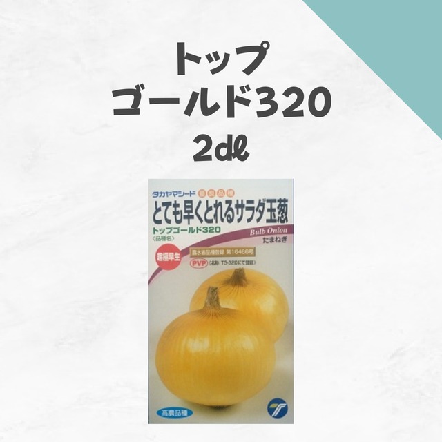 トップゴールド320　タマネギ種子・2dl