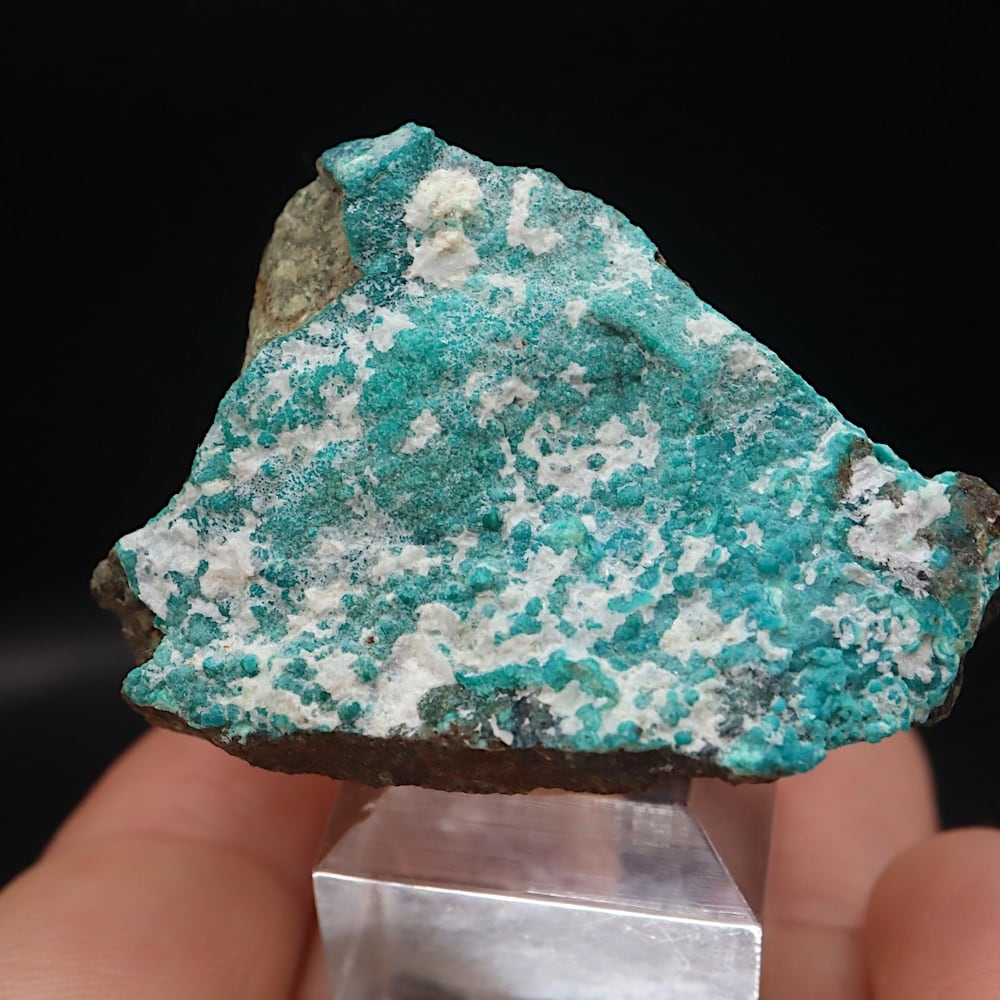 クリソコラ ヘミモルファイト 珪孔雀石 22g CHS213 鉱物 原石 天然石