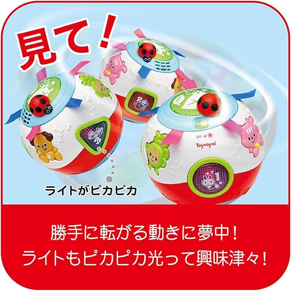 トイローヤル おいかけてコロコロボール ( 知育玩具 / 指先遊び