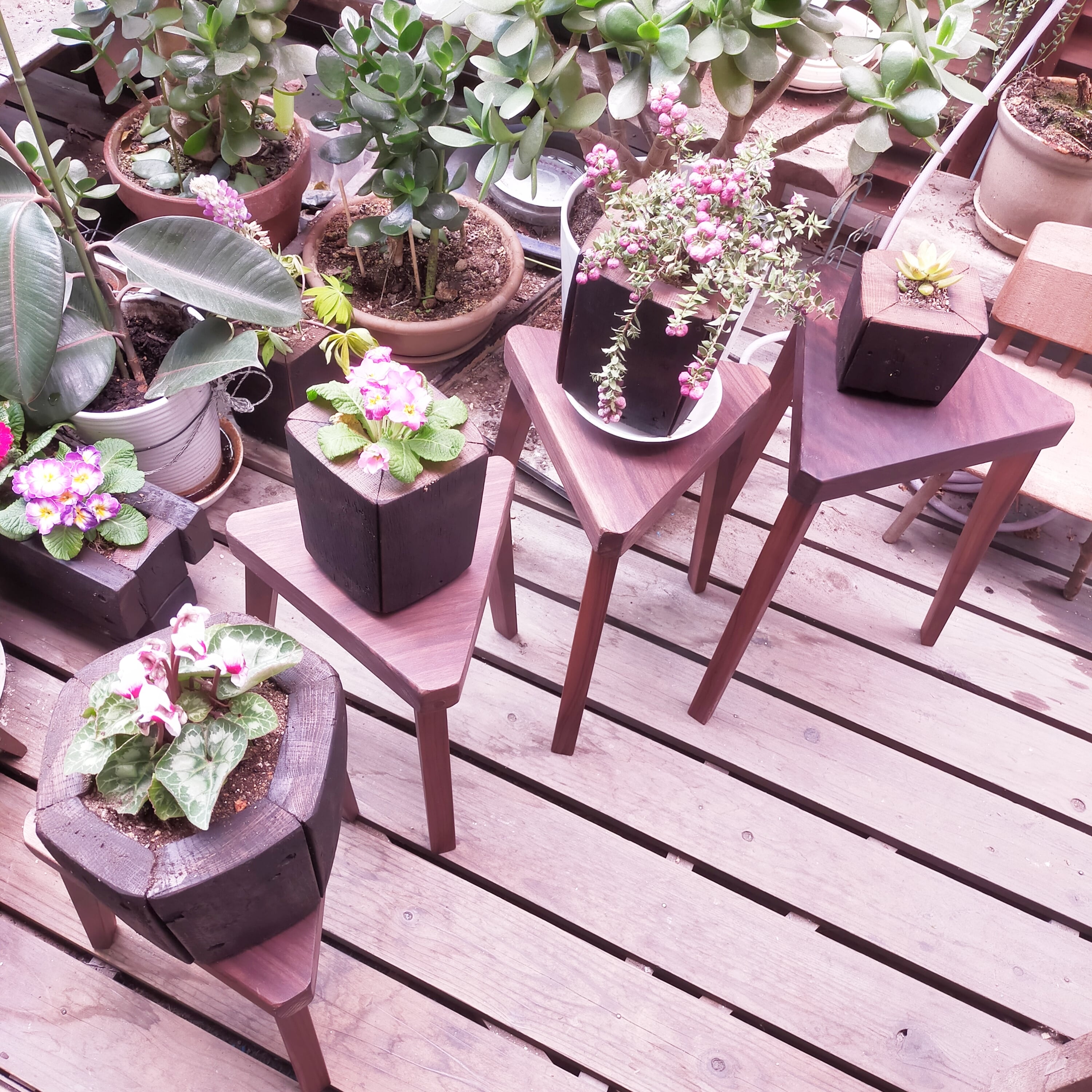 ウォールナットの三角花台4点セット | ウッドクラフト free edge