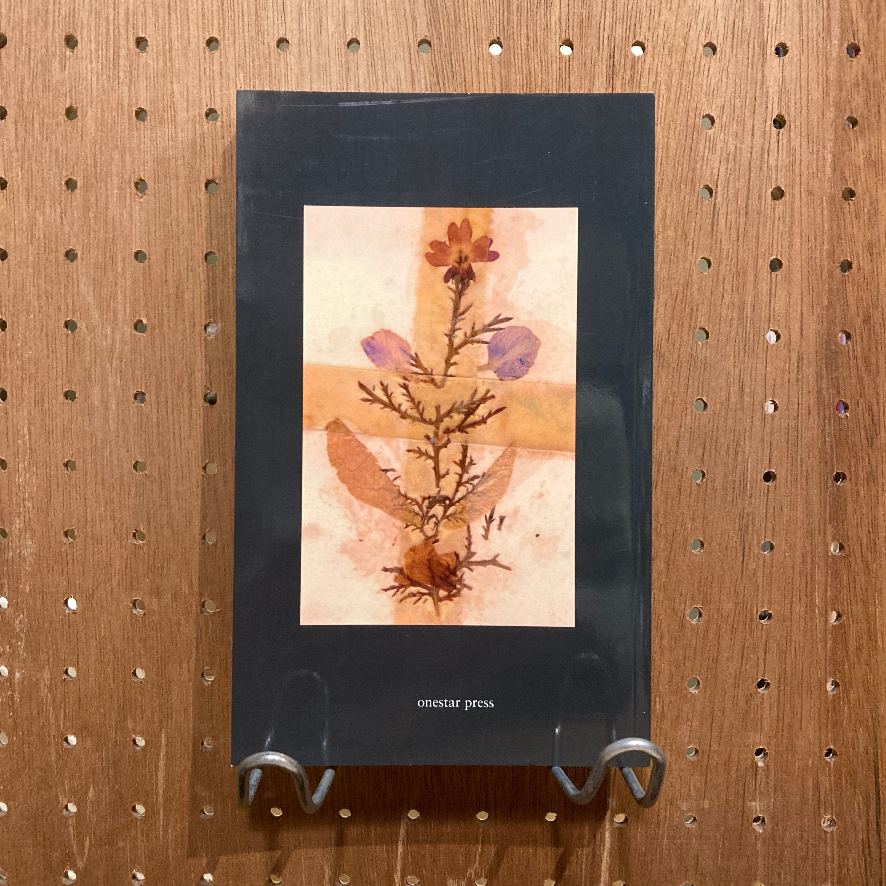 The Politics of Flowers / Terri Weifenbach | 百年